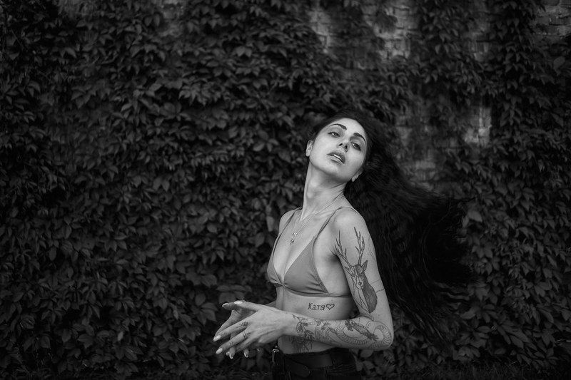 Si фото превью