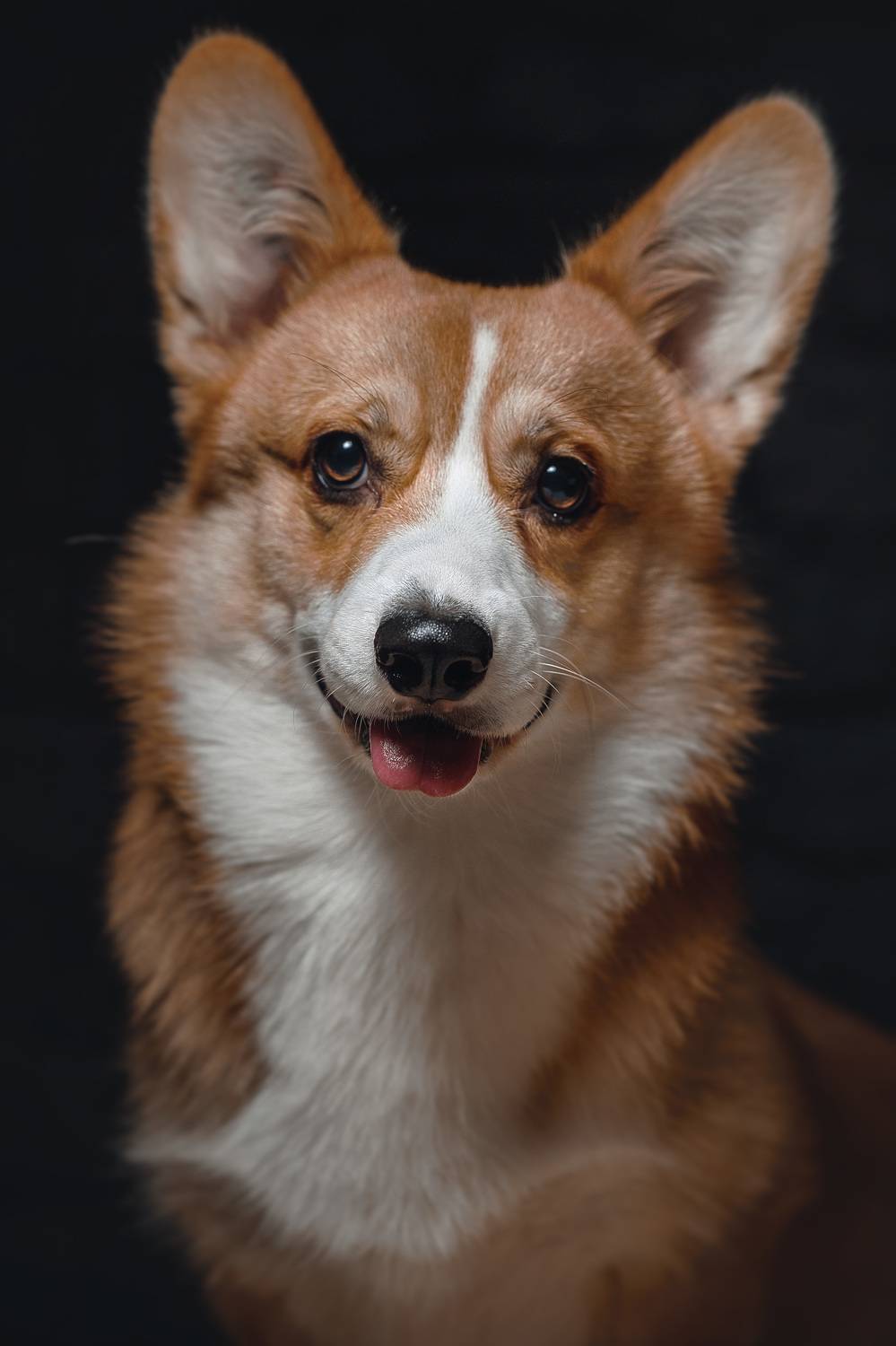 , Владимир Осауленко