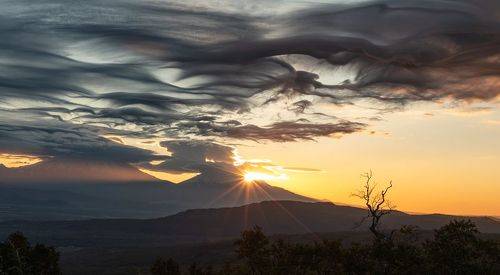 Души летучих мышей