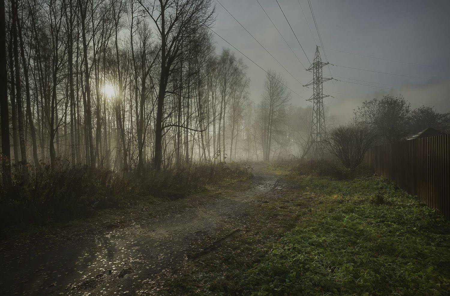 , Васенков Геннадий