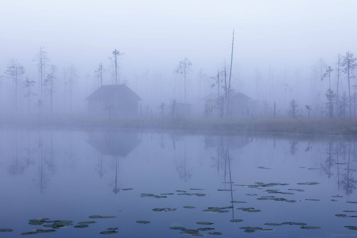 пейзаж, рассвет, сосны, туман, болото, север, озеро, landscape, sunrise, swamp, north, pines, fog, lake, hut, cabin, logcabin, изба, домик, Чаланов Иван
