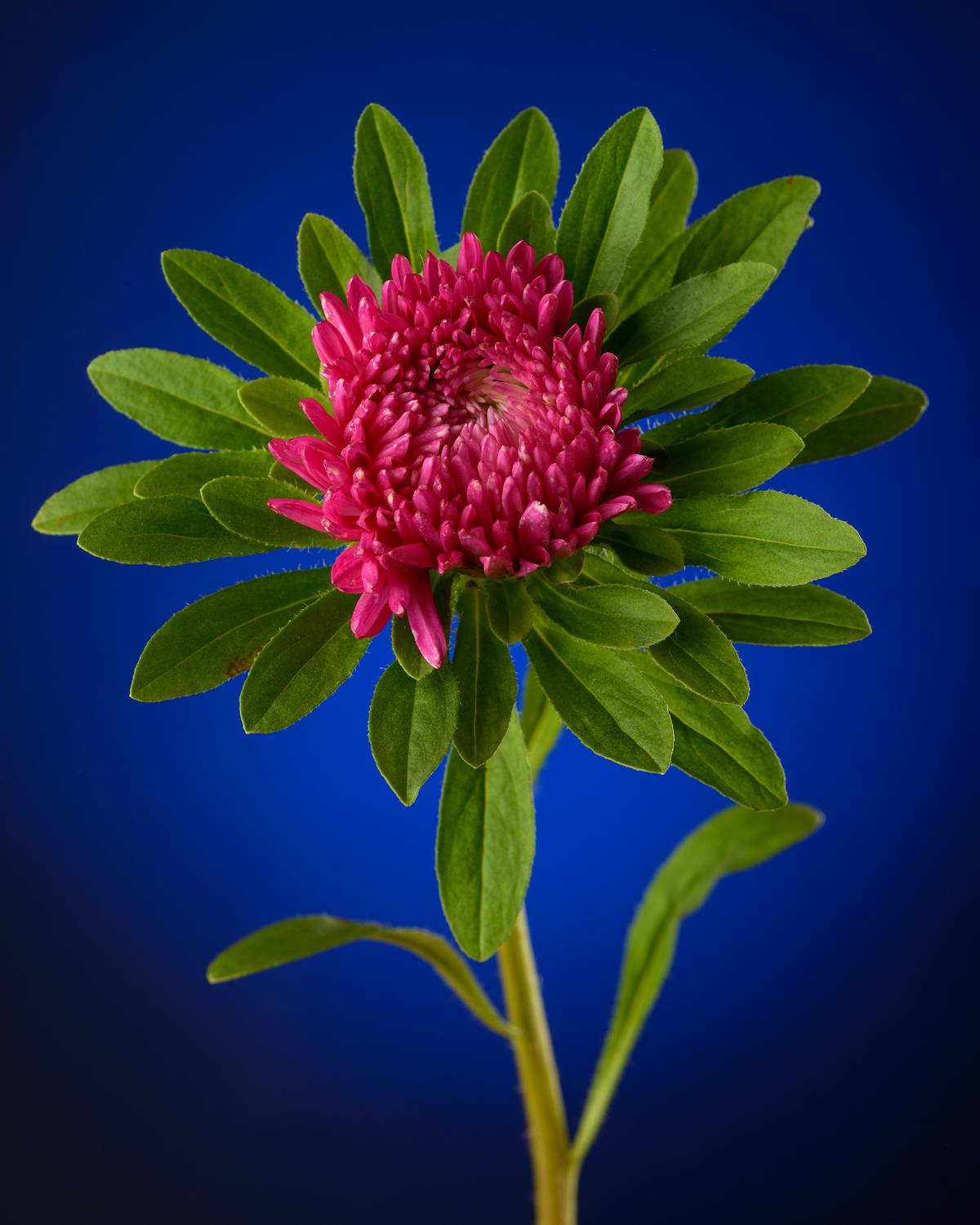 , Сизов Кирилл