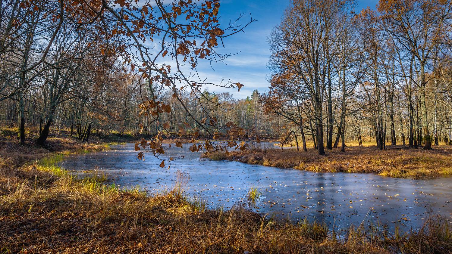 , Андреев Николай