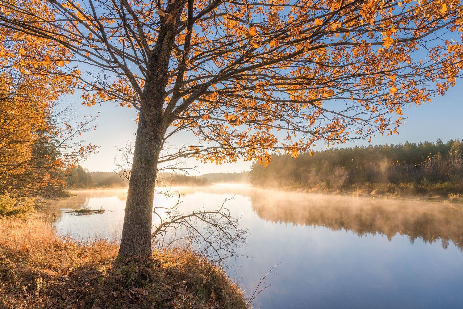 , Руслан Авдевич