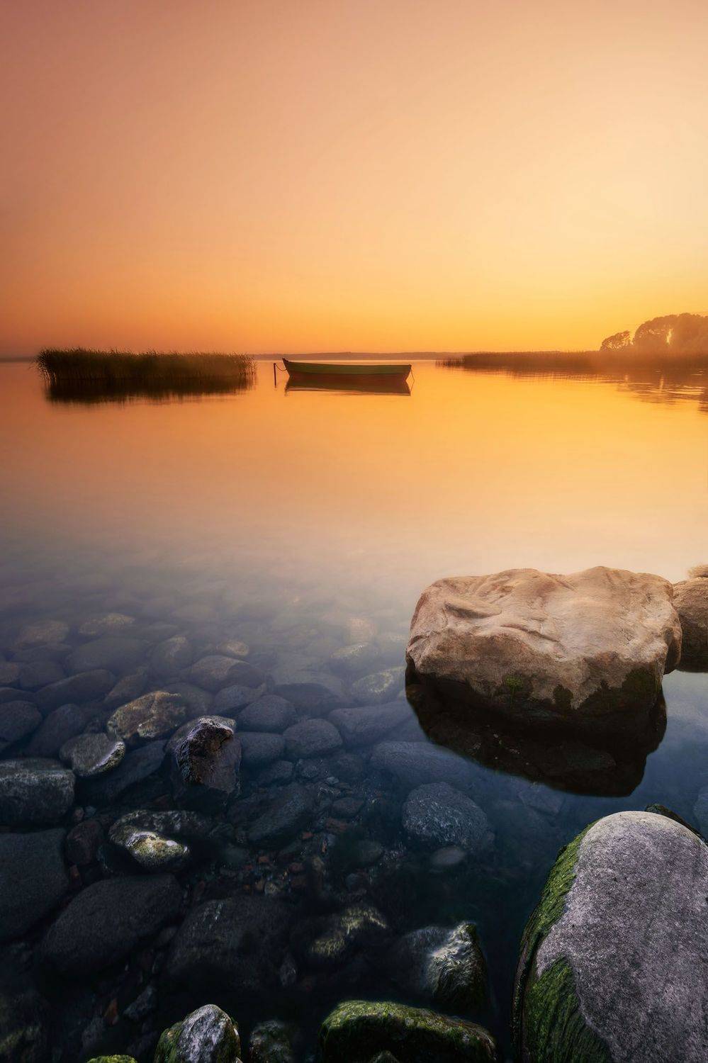 , Степанов Виктор