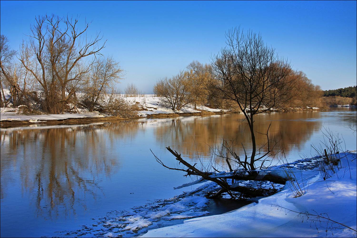 москва-река, звенигород, Тарасов Алексей