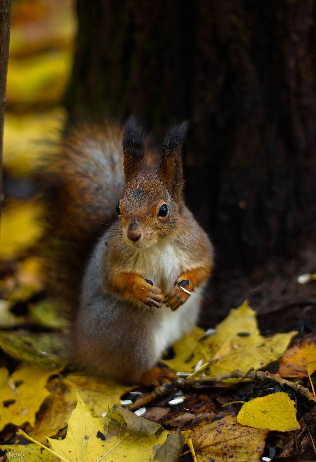 , Екимова Наталья