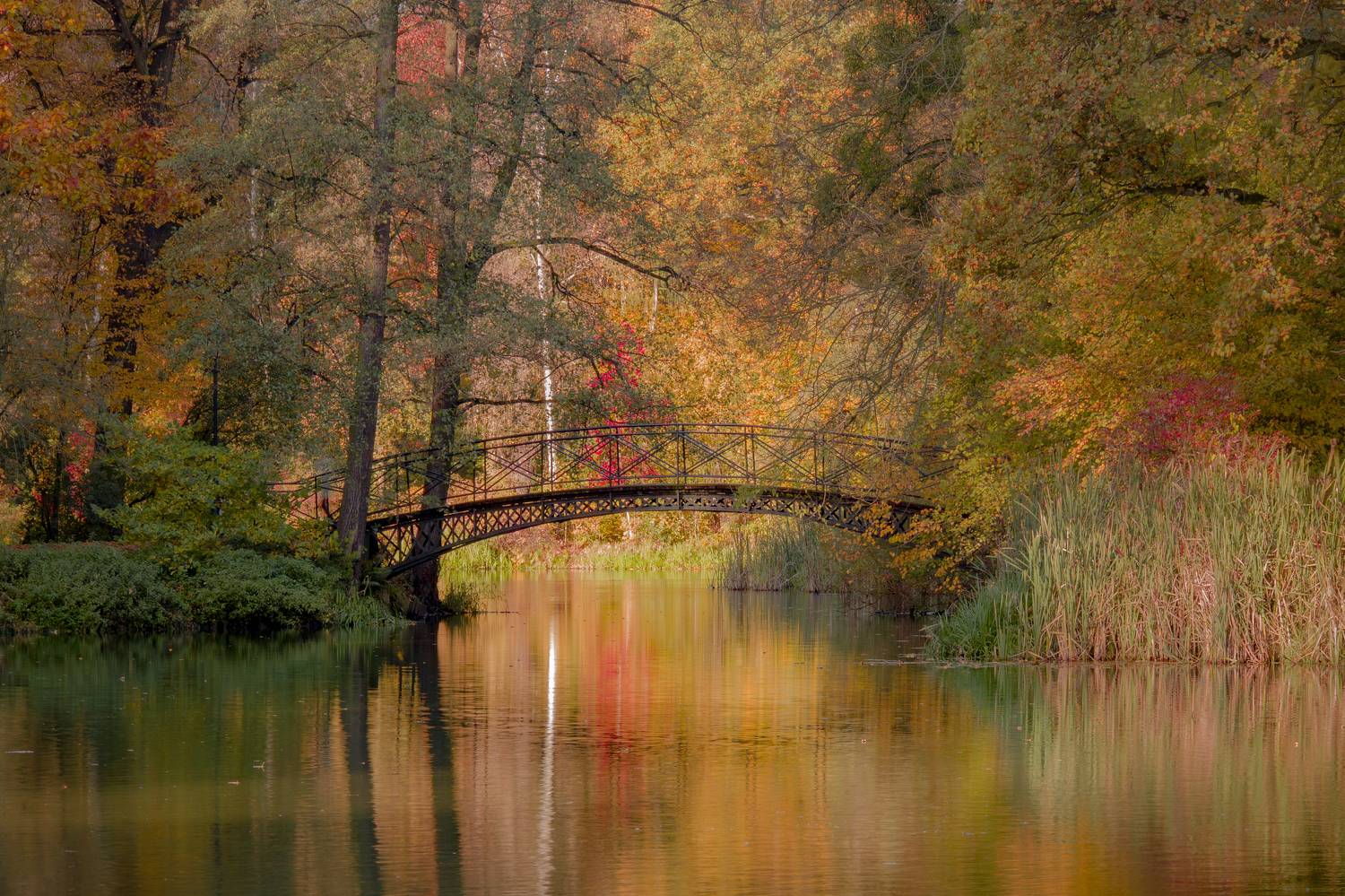 Horizontal, Photography, Autumn, Bridge,  Nature, Tree, Lake, Leaf, Park, Reflection, Water, Day, Pszczyna, Bridge, Trees, Pond, Impressions, Damian Cyfka