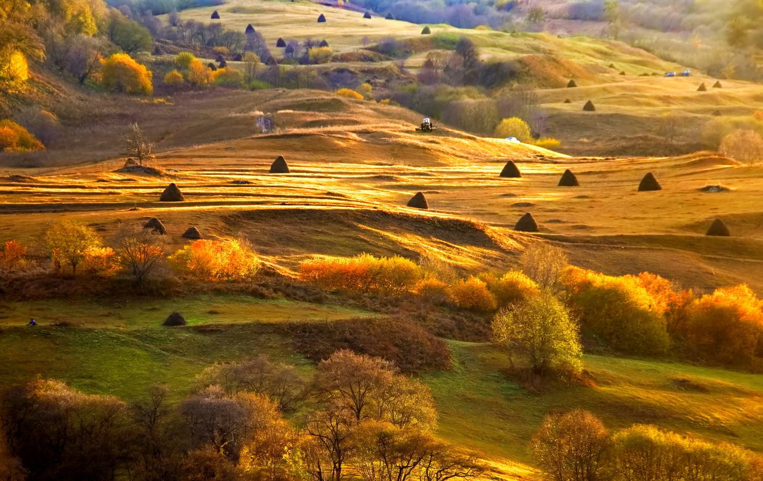 , Александр Лукин