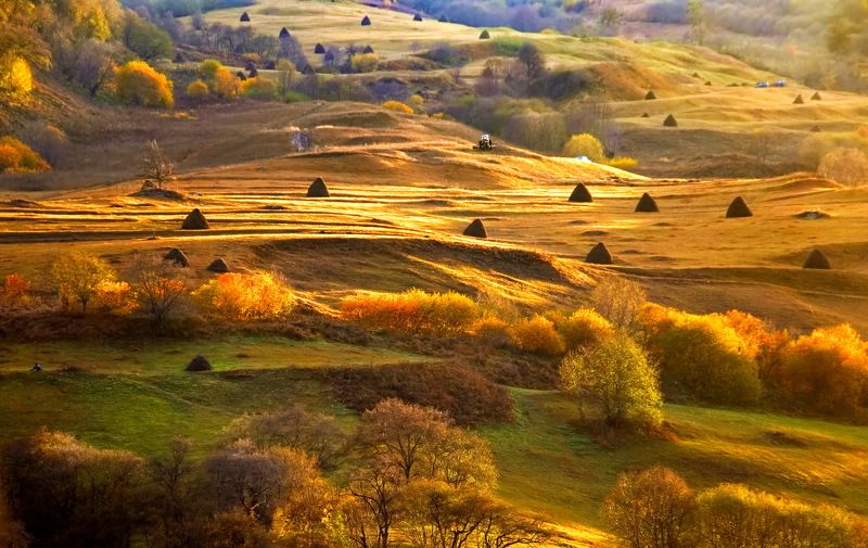 Осень фото превью