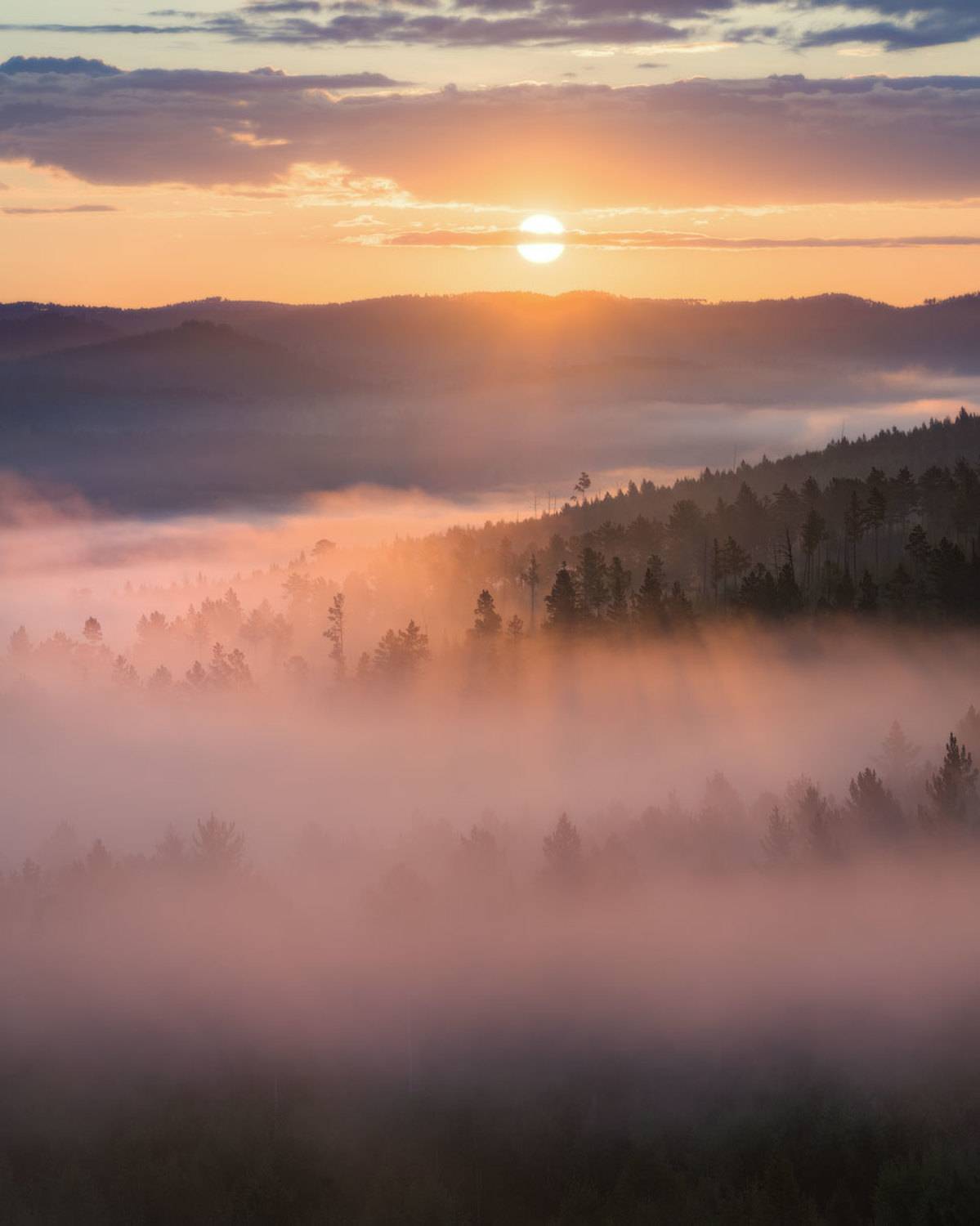, Сергей Брагин