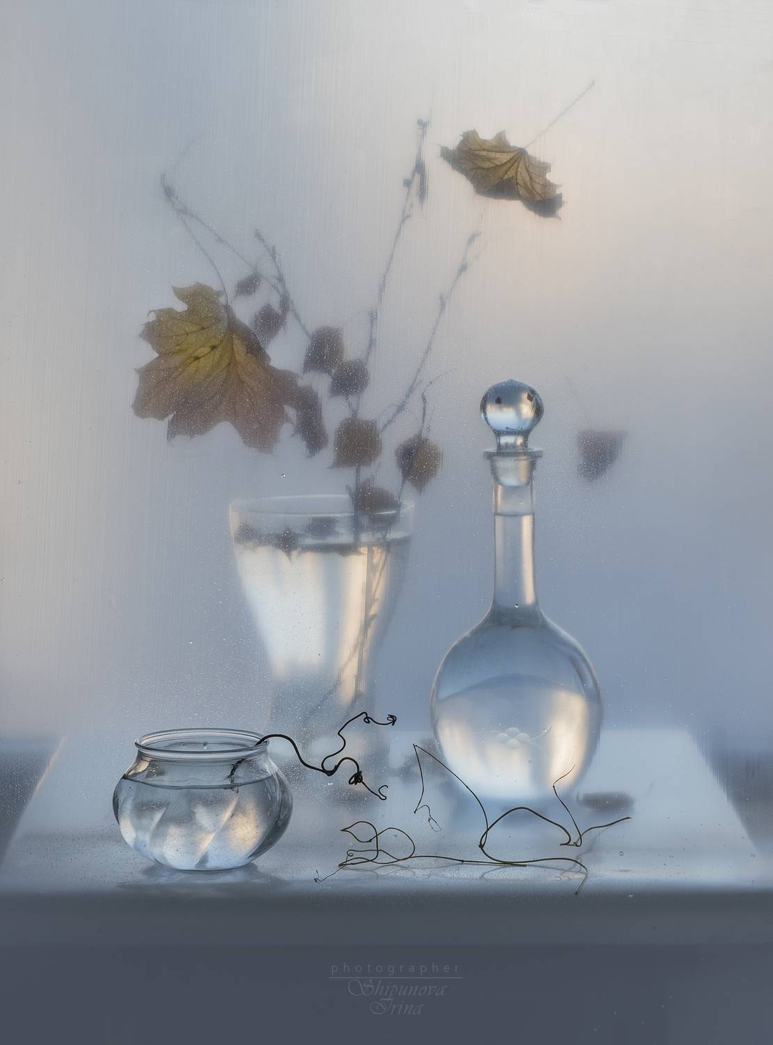 , Ирина Шипунова