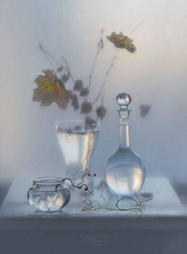 Прозрачная осень