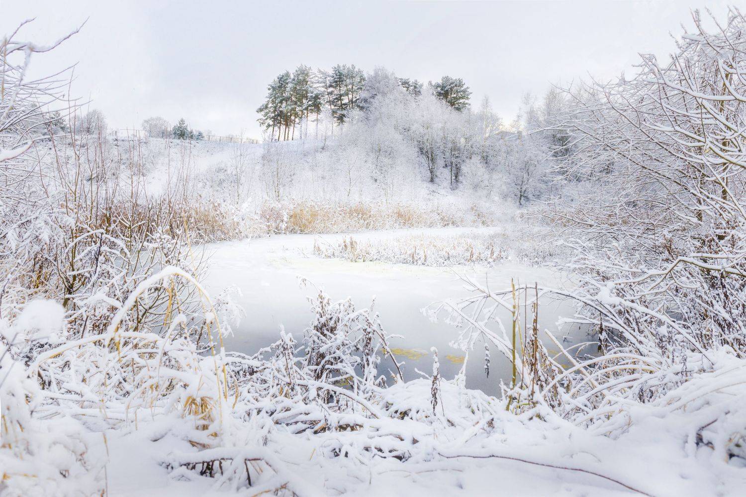 , ОЛЬГА КОВАЛЁВА