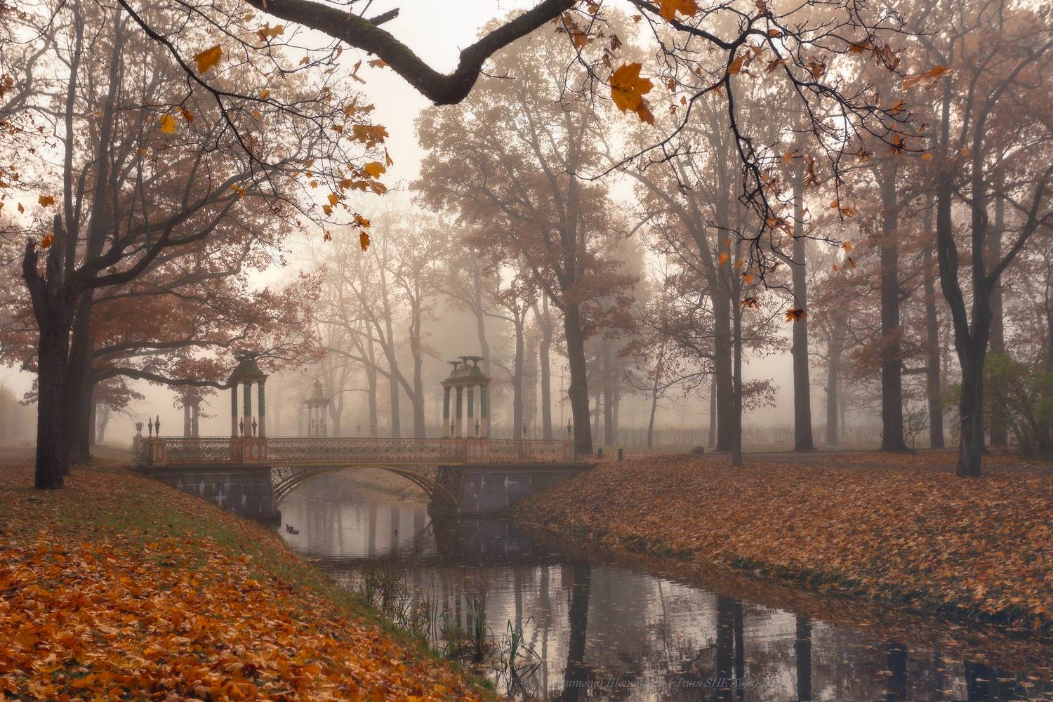 питер, пушкин, царскоесело, царское, пейзаж,  landscape,  autumn, санкт-петербург, александровский парк, Щепотина Татьяна