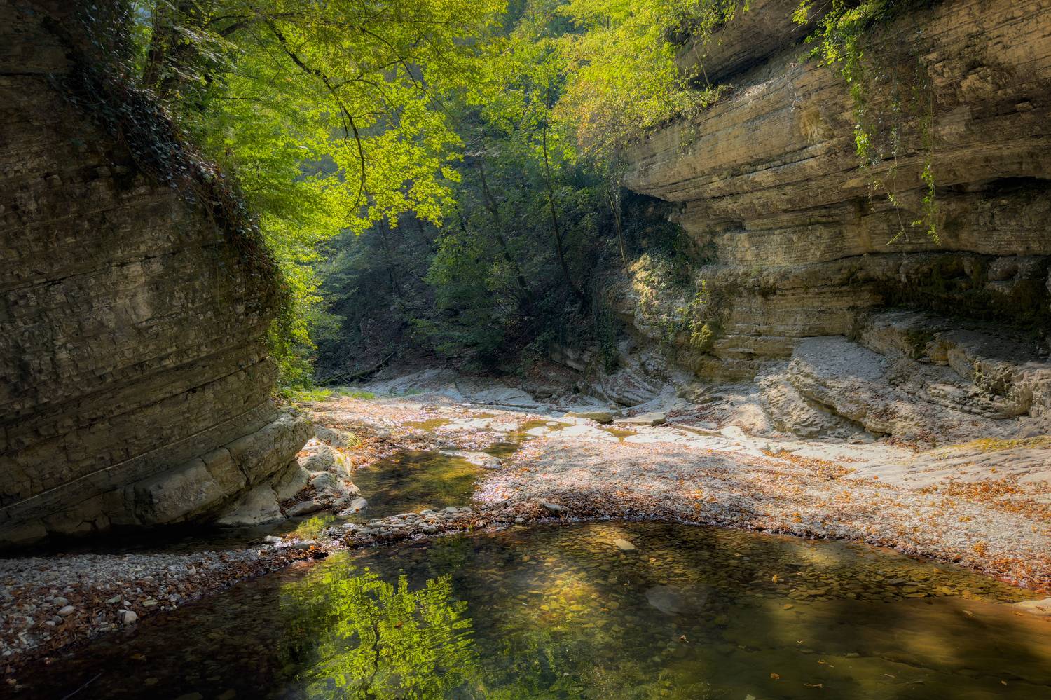 , Сергей Тихомиров
