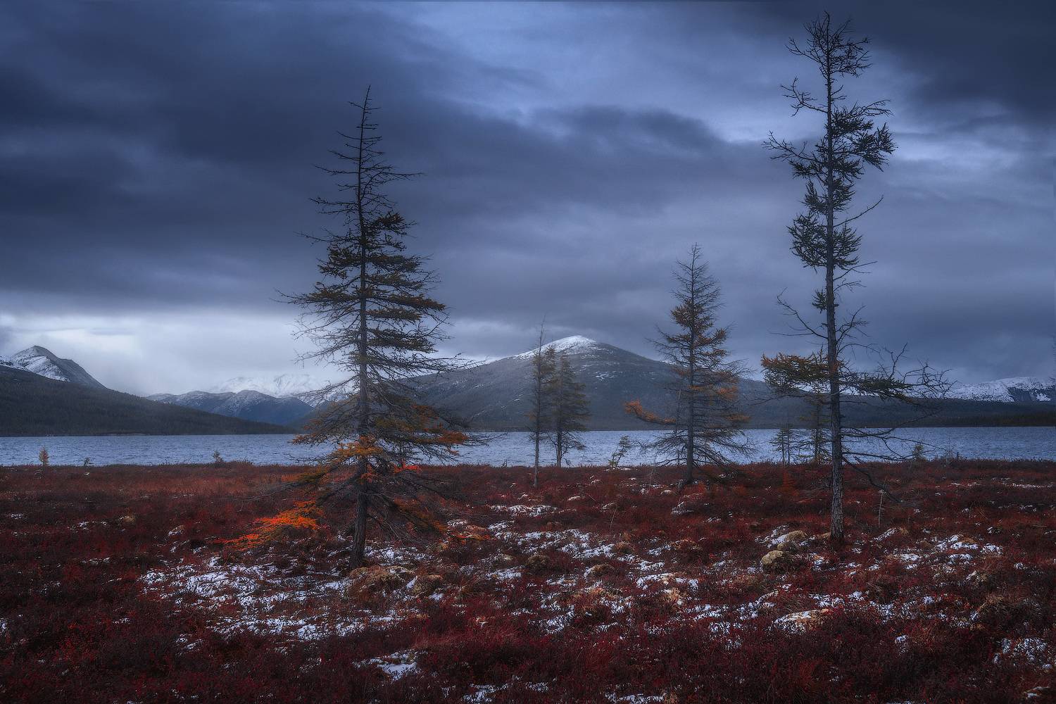 , Владимир Ляпин