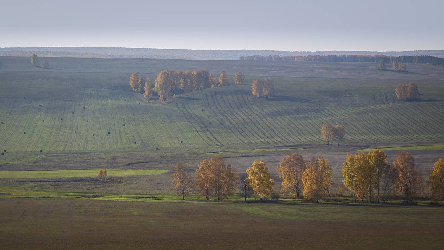 осень, пейзаж,, Сергей Шульга