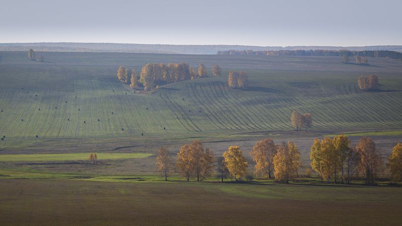 Осенний мотив. фото превью