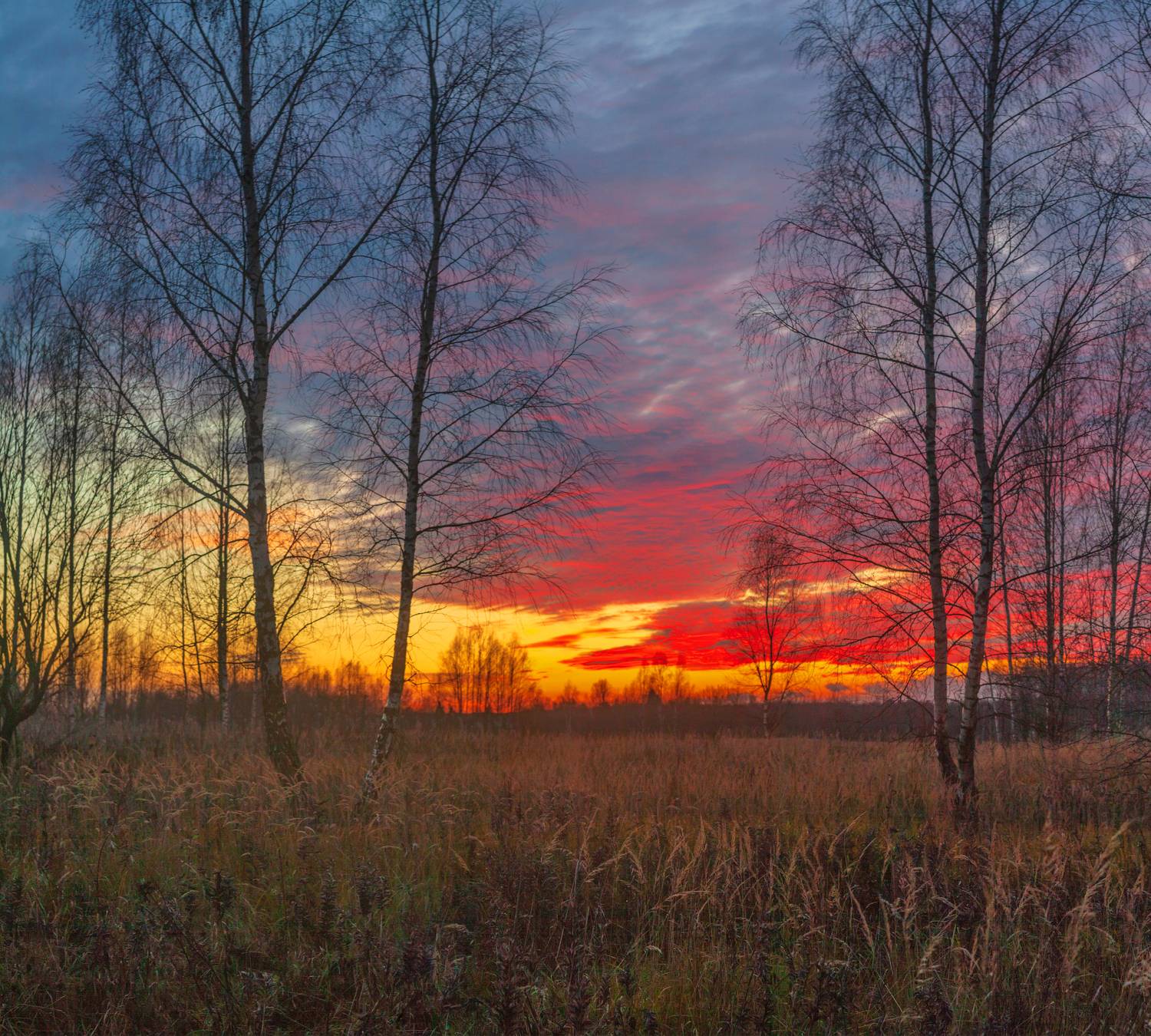 закат , осень, Александр Свистков