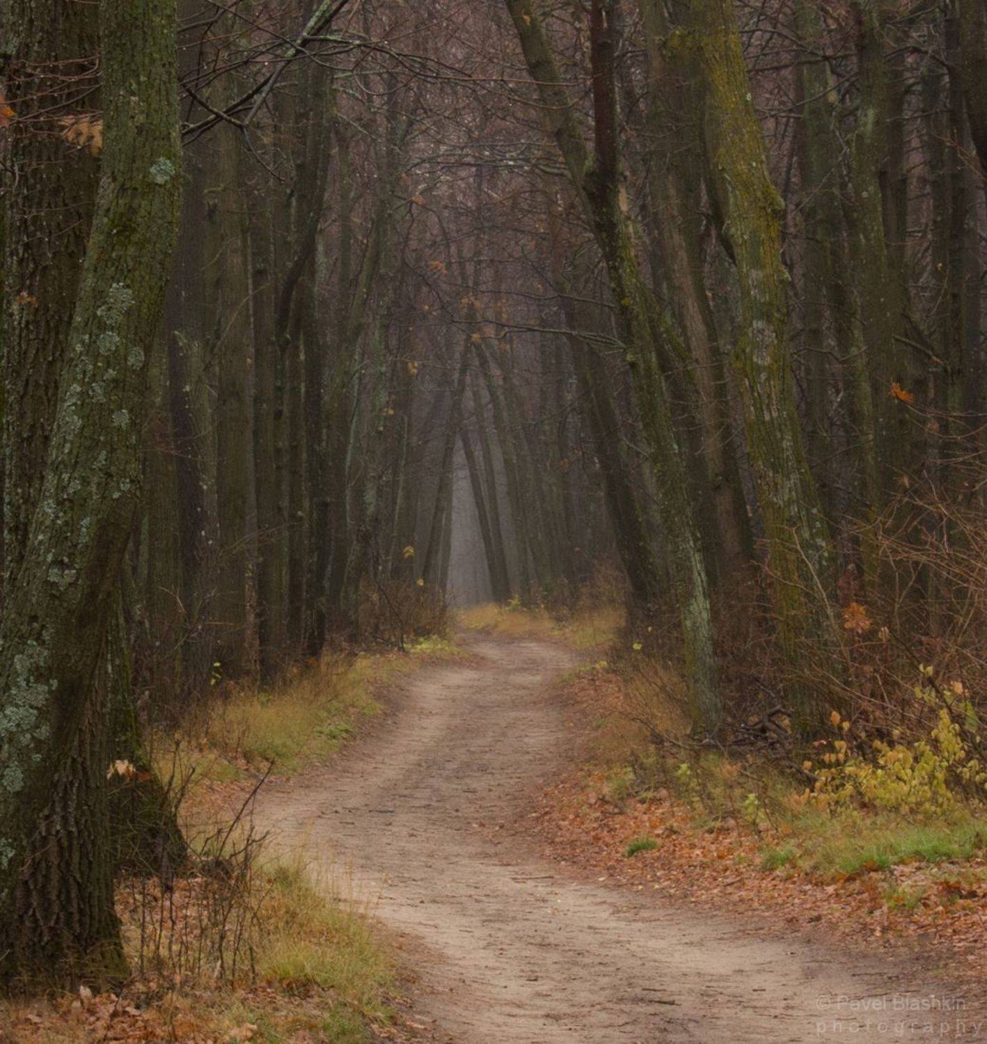, Блашкин Павел