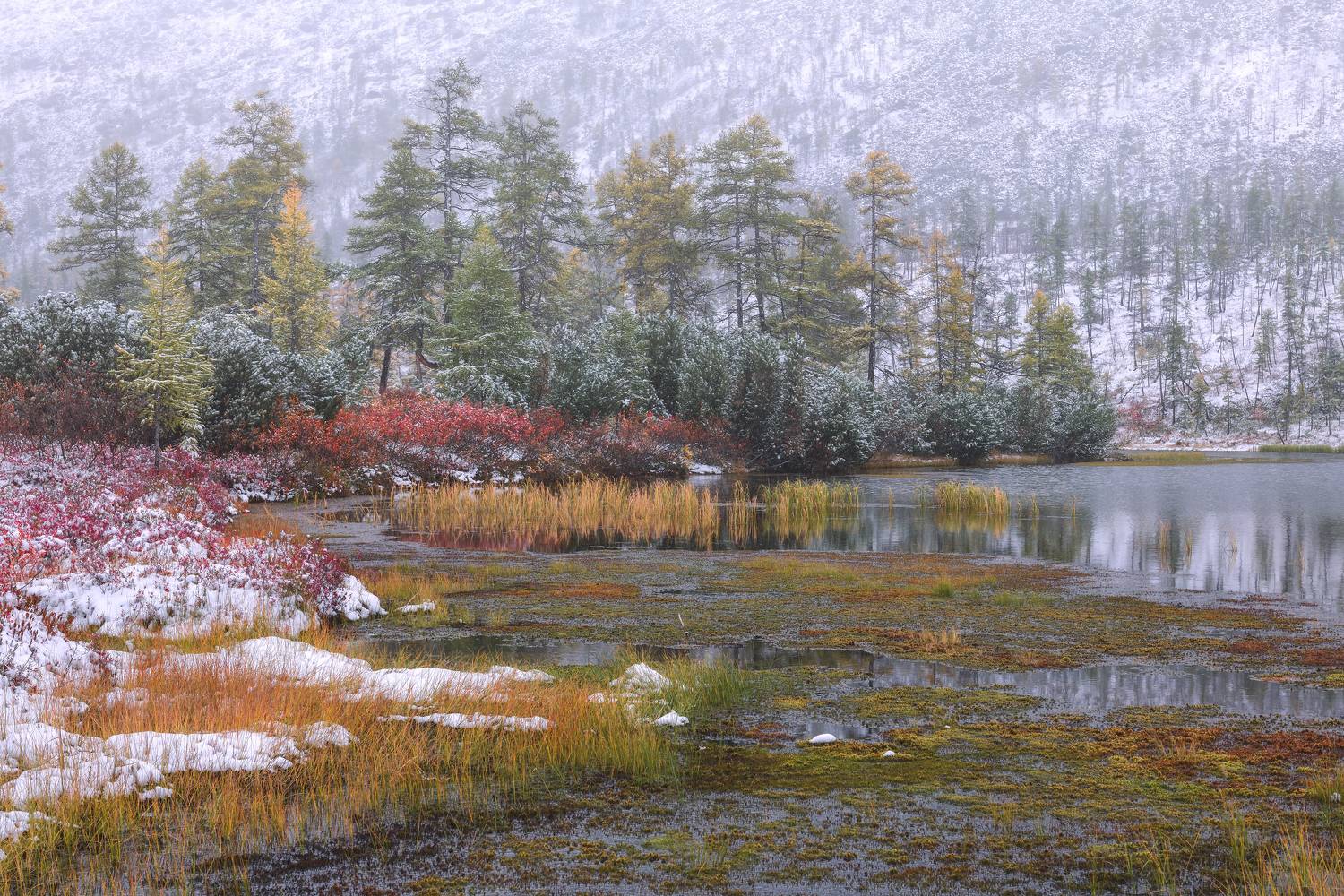 озеро джека лондона, Максим Евдокимов