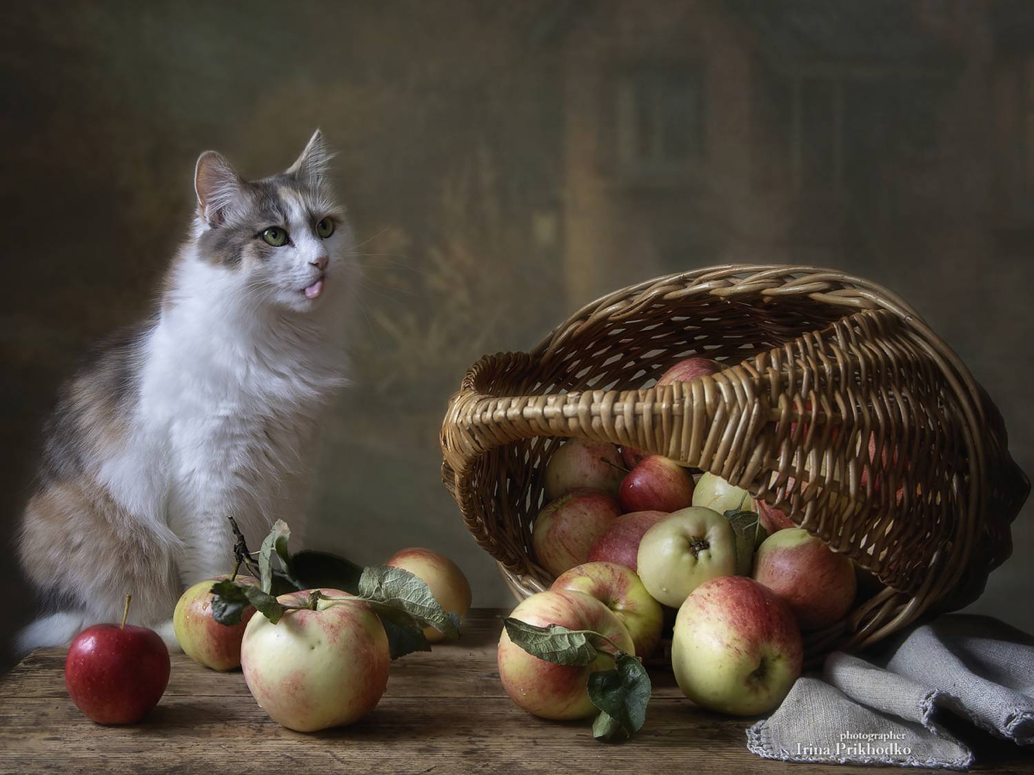 натюрморт, яблоки, корзина, кошка, питомцы, Приходько Ирина