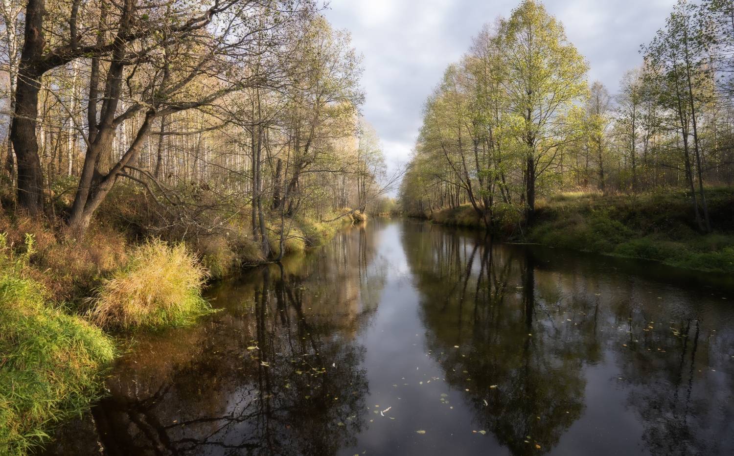 река деревья небо, Колесов Андрей