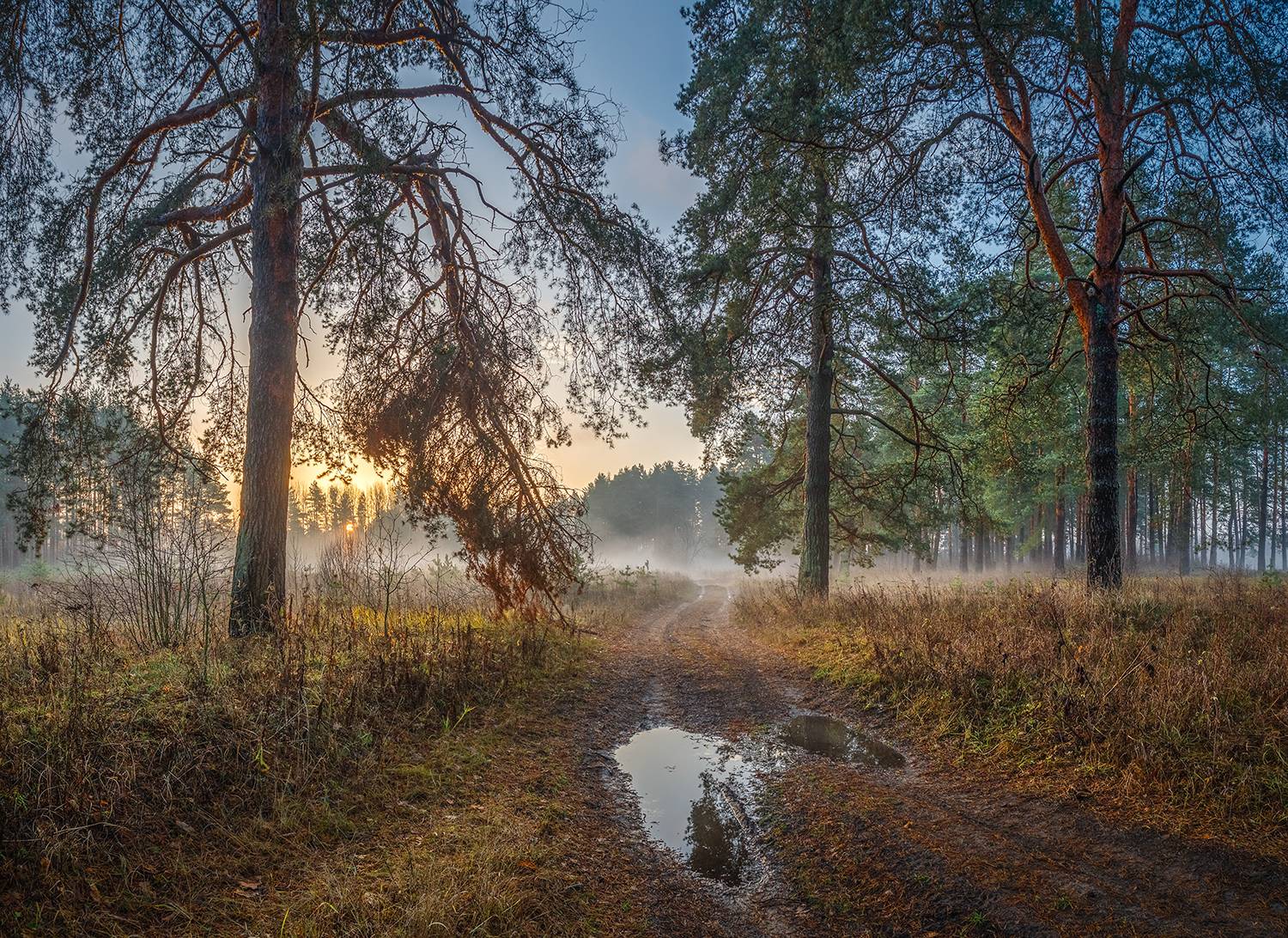 , Андреев Николай