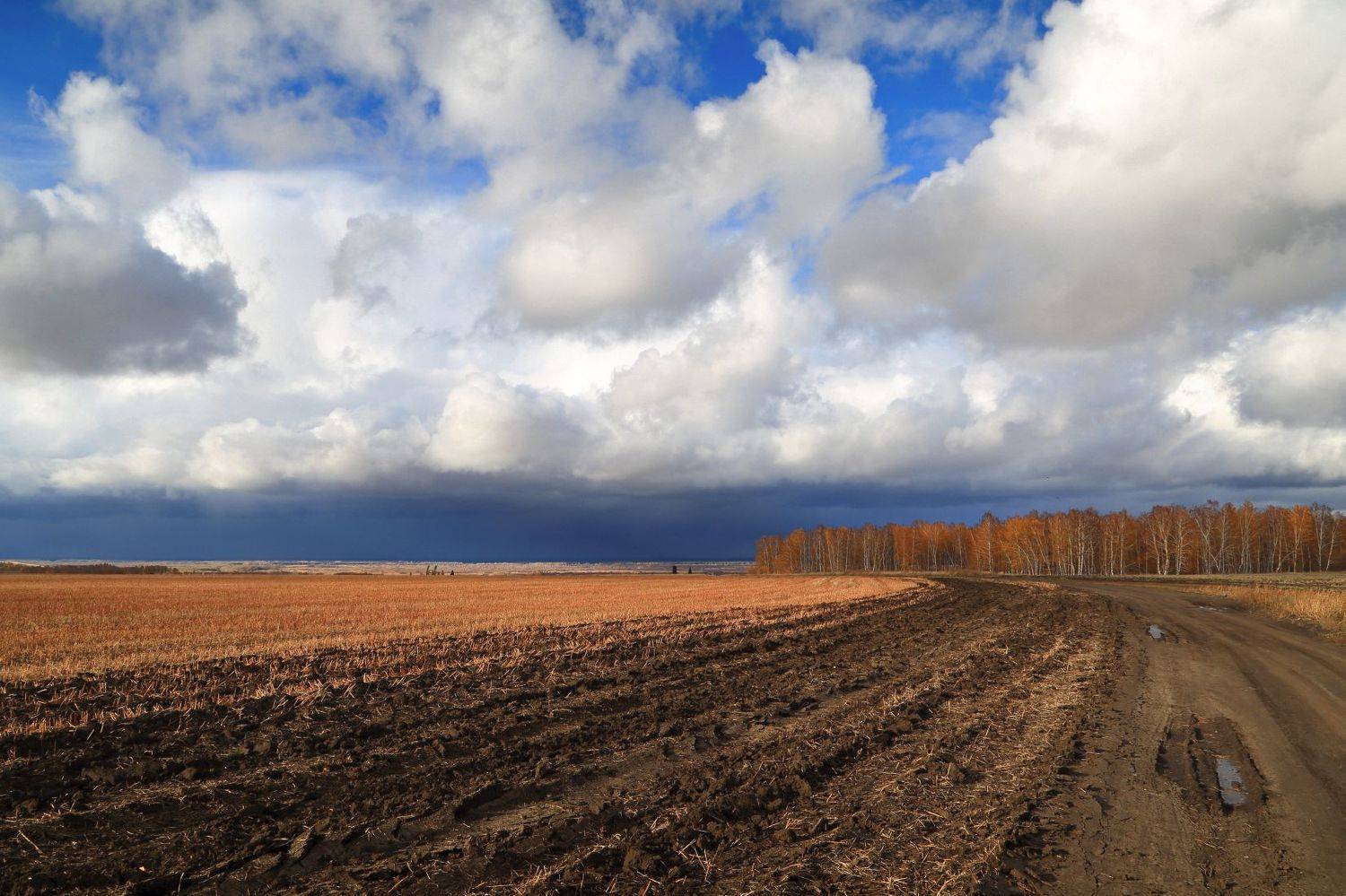 , Евгений Зинов