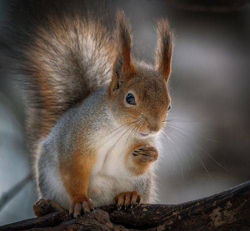 Задумалась