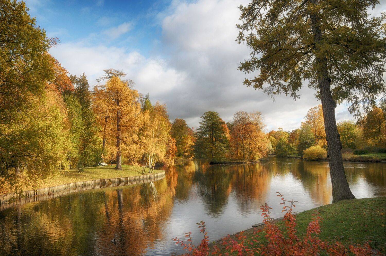 пруд деревья облака, Вера Петри