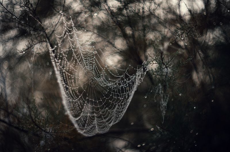 Осенней паутины ожерелье. фото превью