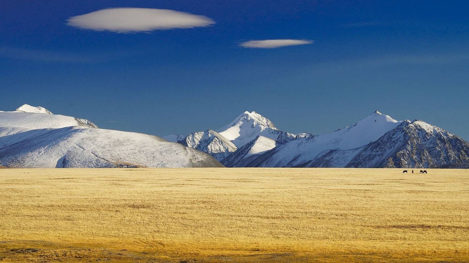 Алтай, Сибирь, Россия, Andrey Politov