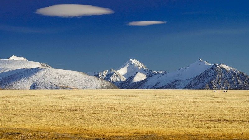 Алтай, Сибирь, Россия степь и горы фото превью