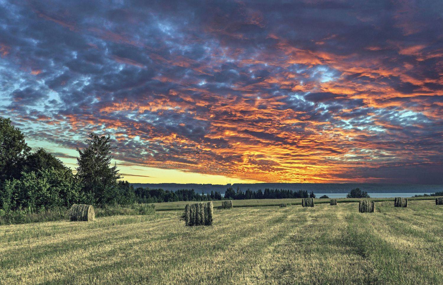 , Шитов Александр
