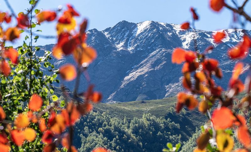 дагестан, тляратинский заказник Осенние краски фото превью