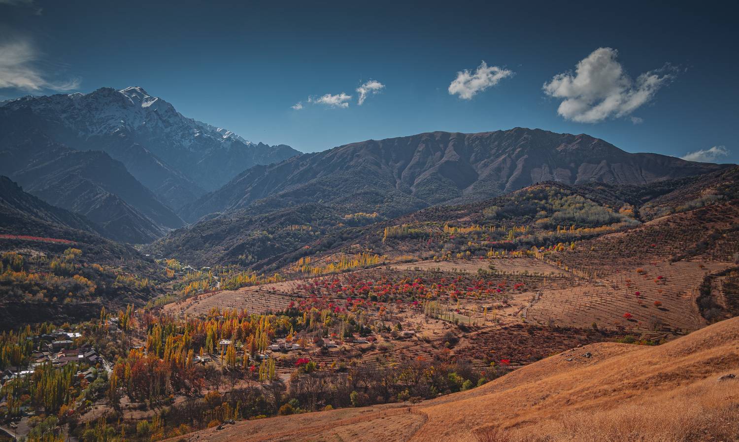 узбекистан, чимган, uzbekistan, chimgan, Исаков Дмитрий