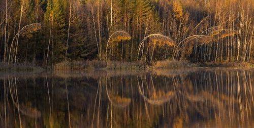 Станция метро 