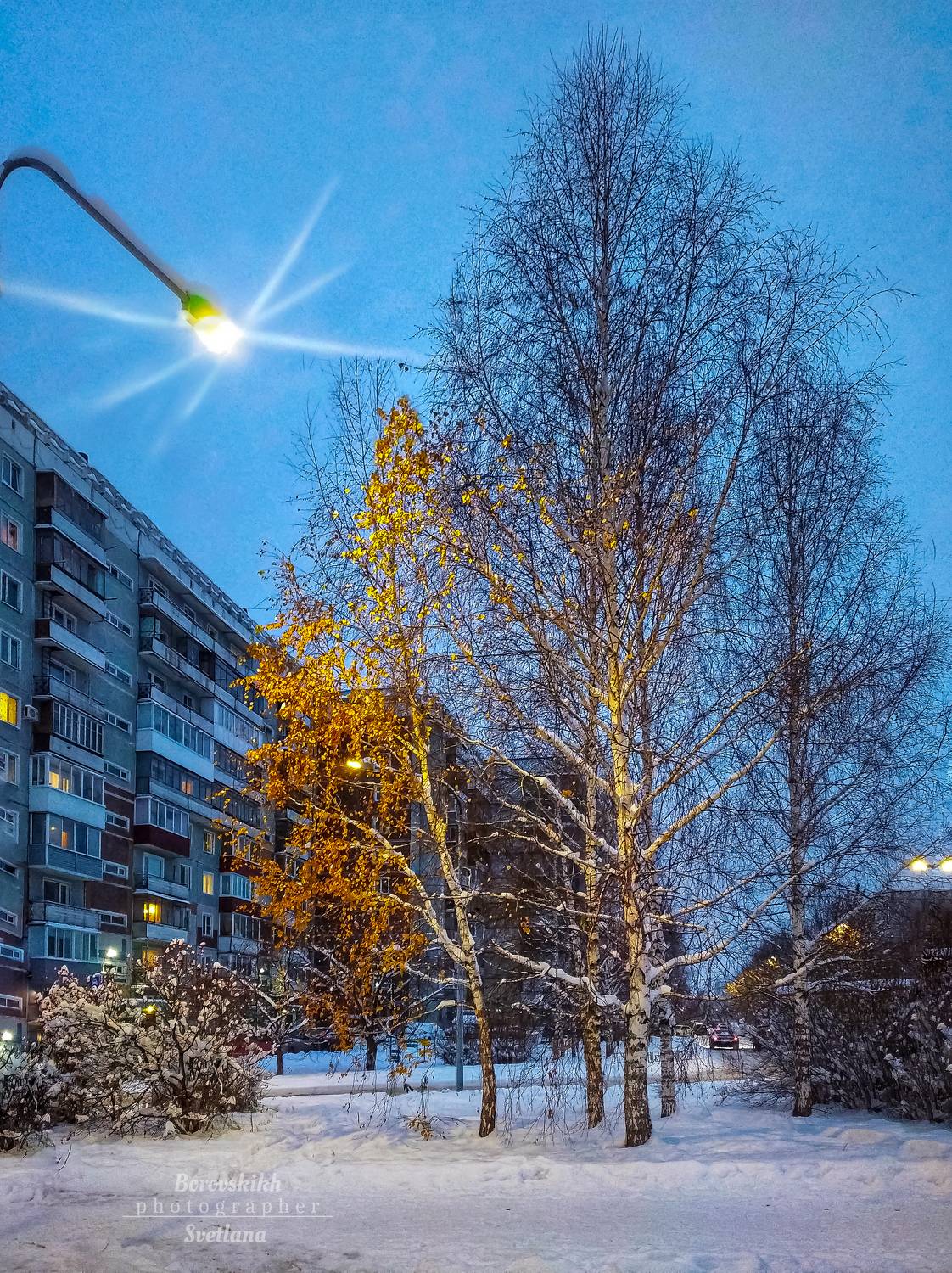 пейзаж, природа, осень, снег, strit photo, Светлана Боровских