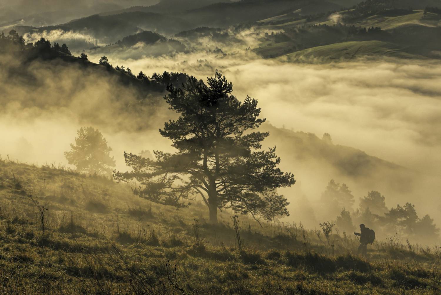 , Sławek Przybylski