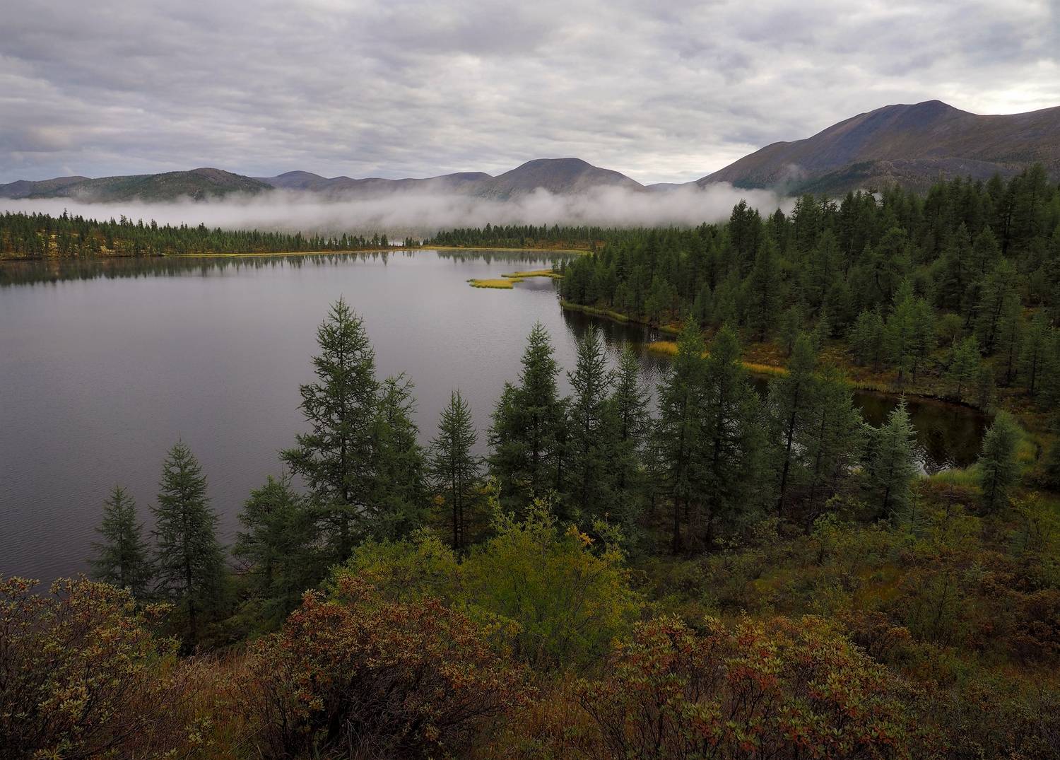 , Александр Попов