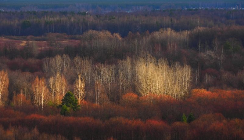 Немного света в ноябре фото превью