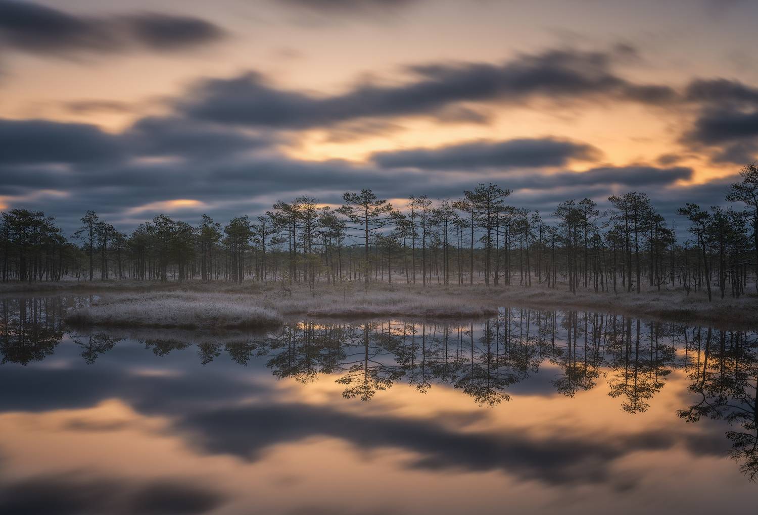 осень, пейзаж, рассвет, болота, Левыкин Виталий