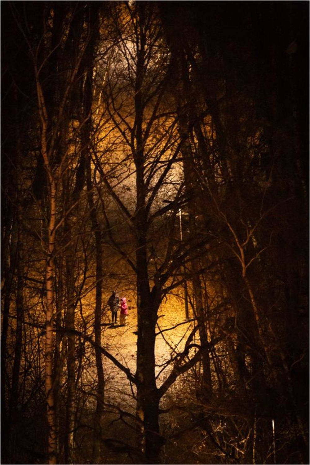 , Алексей Федотов