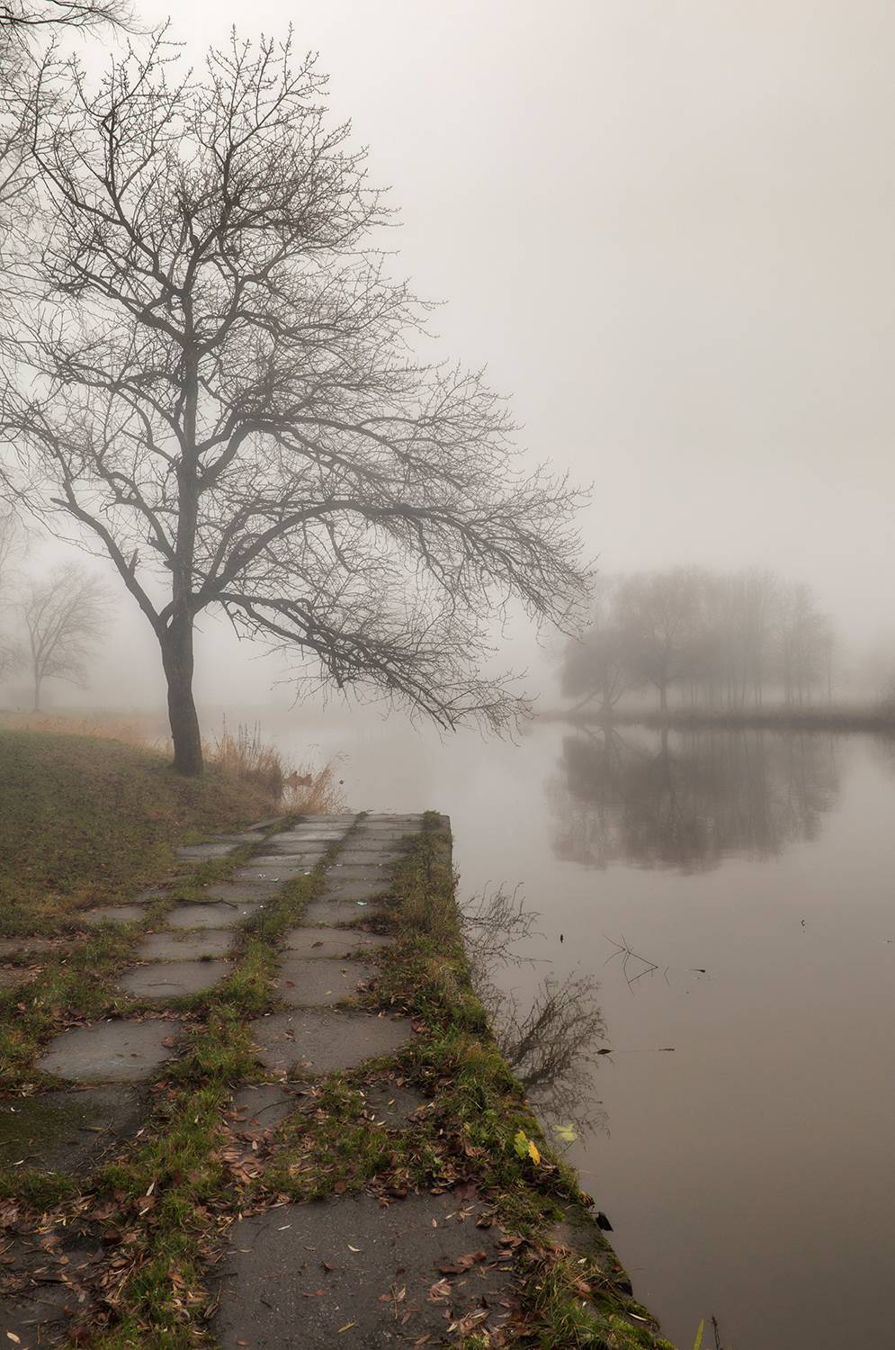 спб,муринский парк,муринский ручей, Александр Смыков