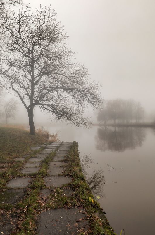 спб,муринский парк,муринский ручей межсезонье фото превью