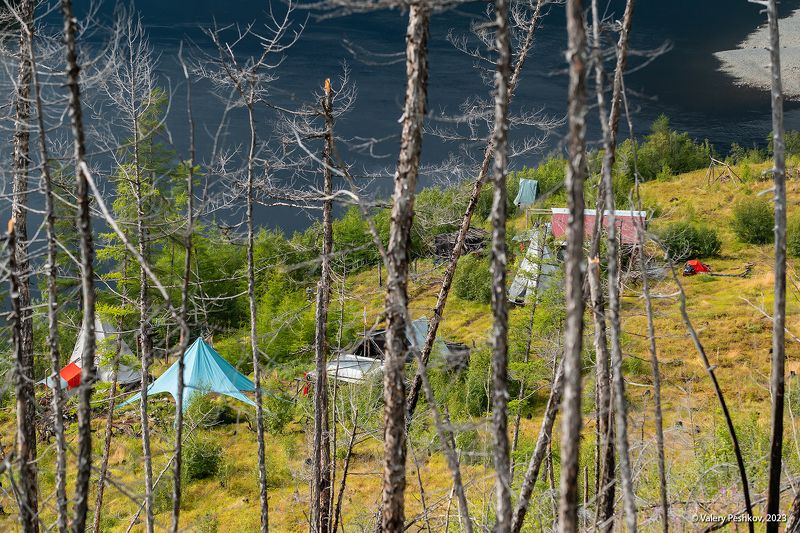 база, кордон, владимир коваль, курейка, яктали, плато путораны, багульник, иван-чай Pro досуг фотографа - кордон Владимира Коваля фото превью