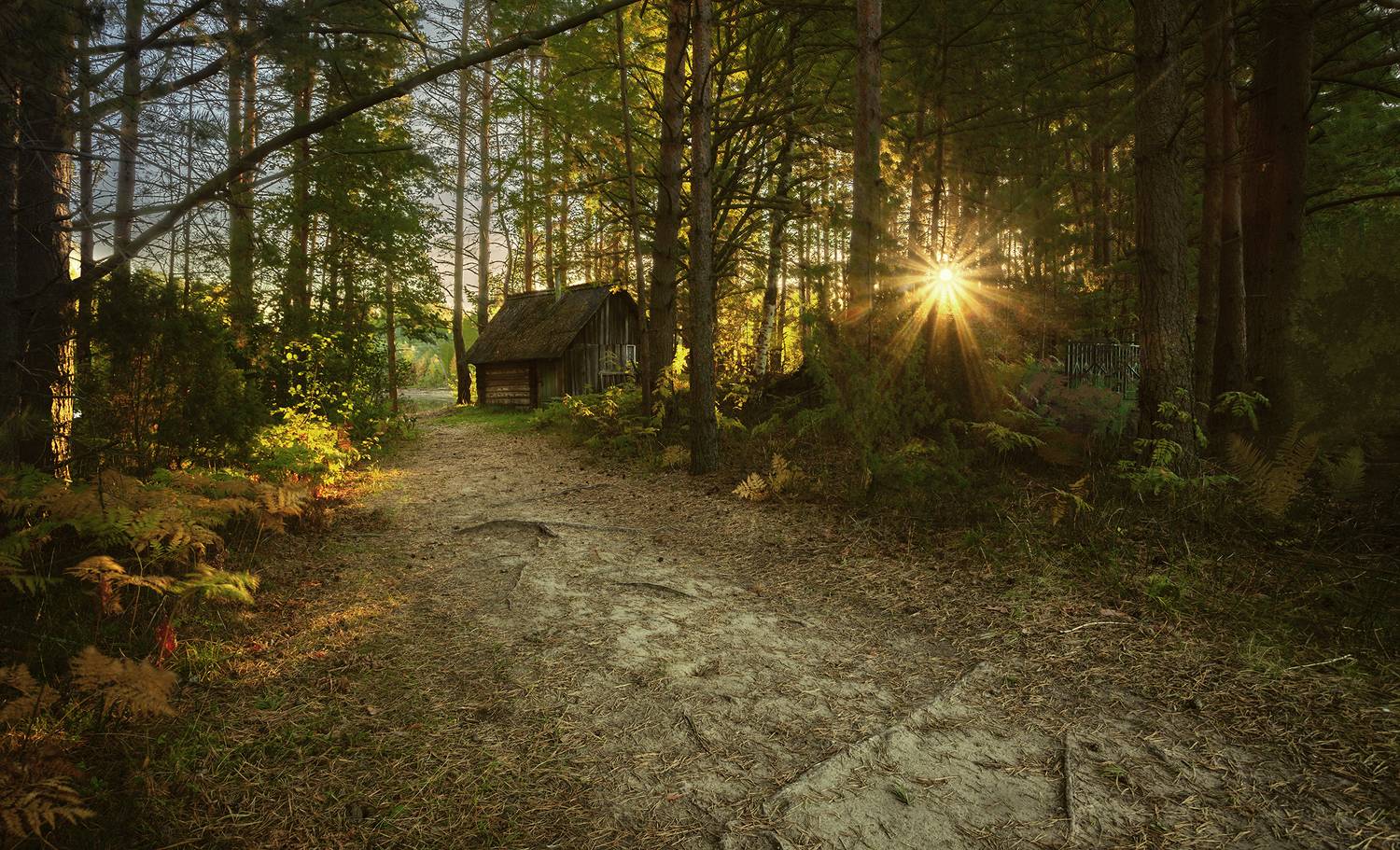 , Васенков Геннадий