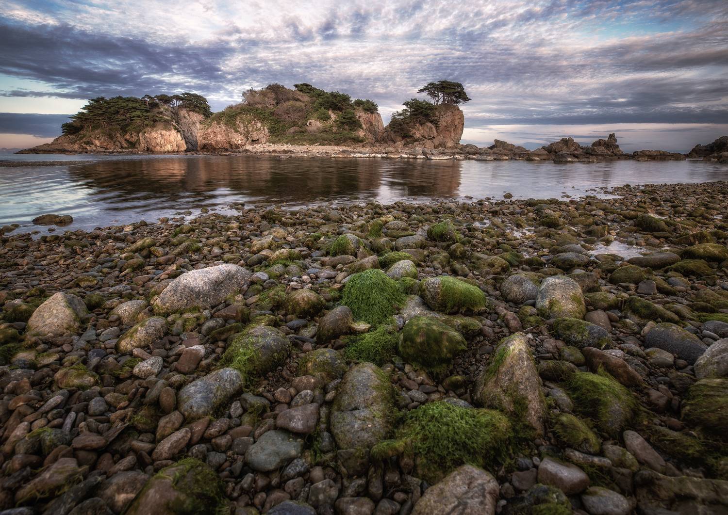 приморский, край, Елена Гусева